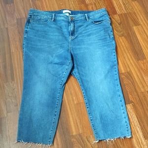 Lane Bryant Denim Raw Hem Capris